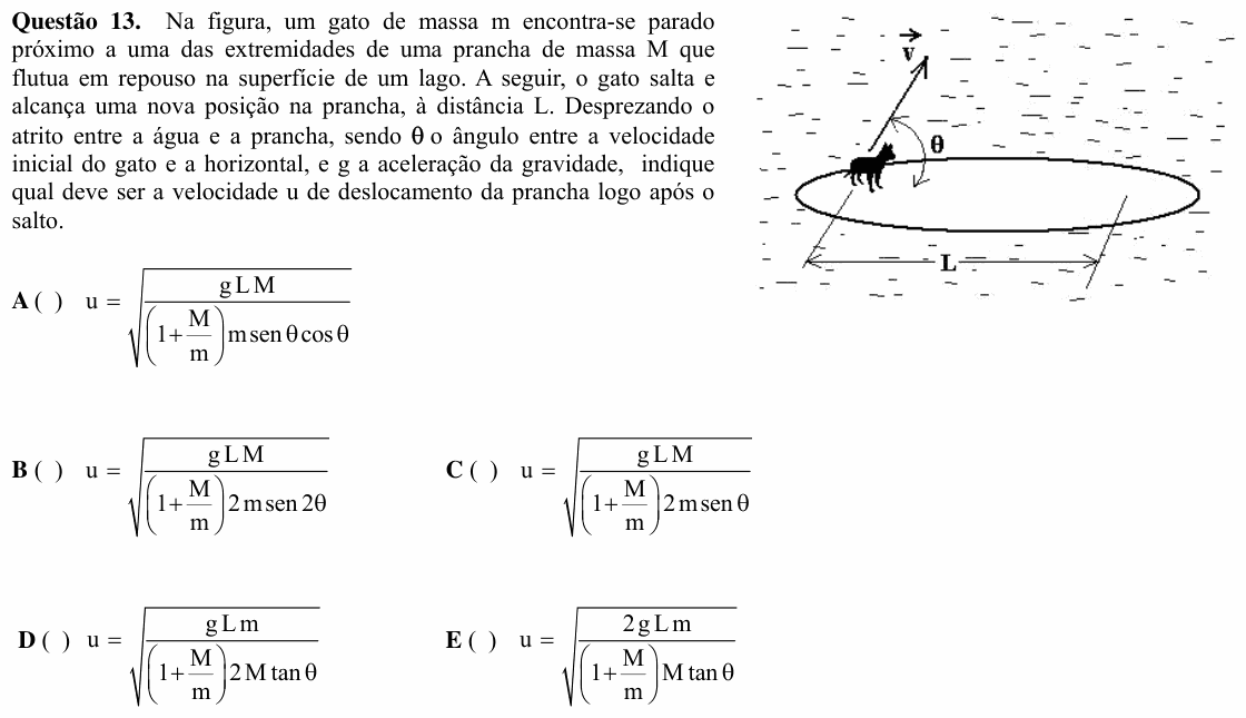 Enunciado da questão 13 de Física do ITA 2008