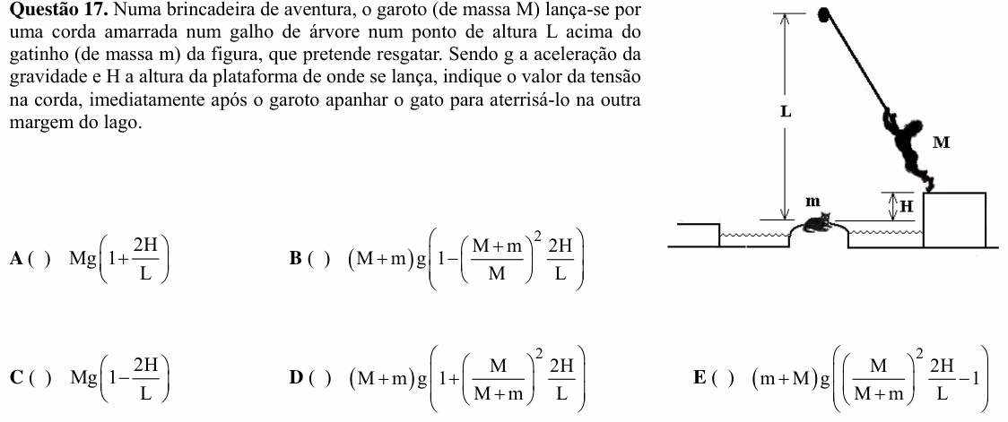 Enunciado da questão 17 de Física do ITA 2008