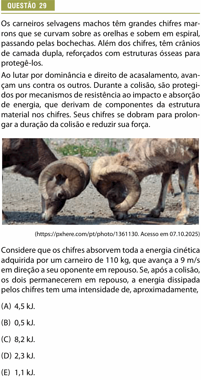 Enunciado da questão 29 de Física do Provão Paulista 2025 (1ª série, 2ª aplicação)