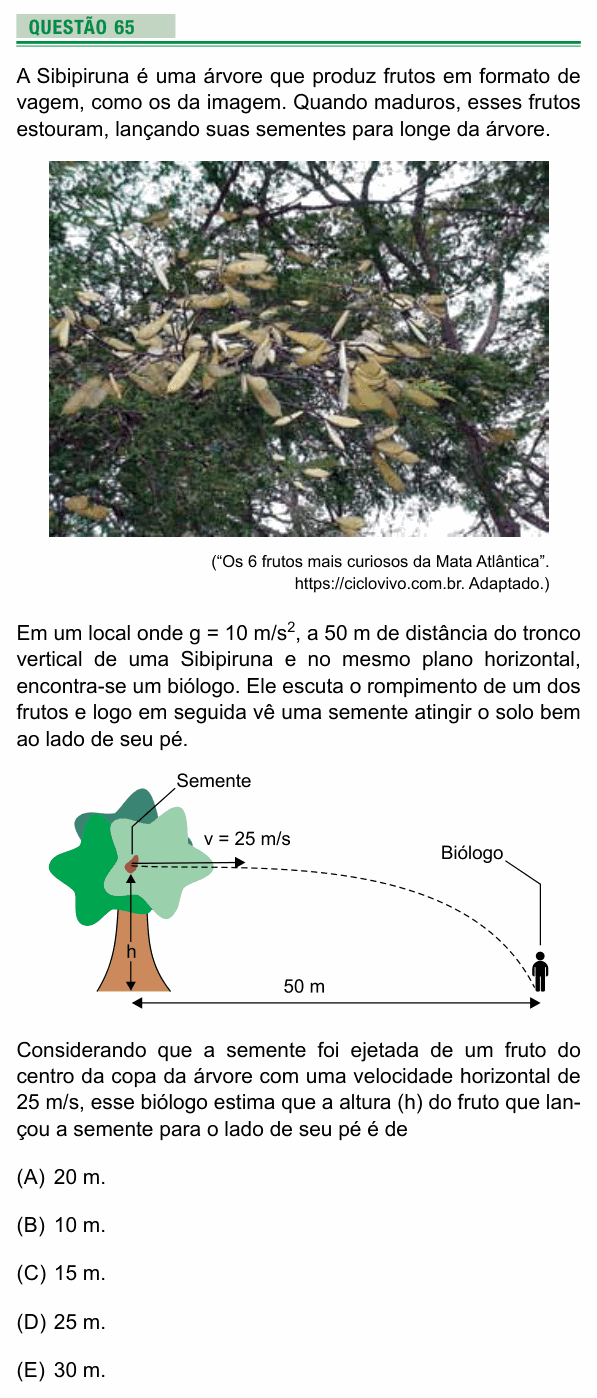 Enunciado da questão 65 de Física do UEA 2021