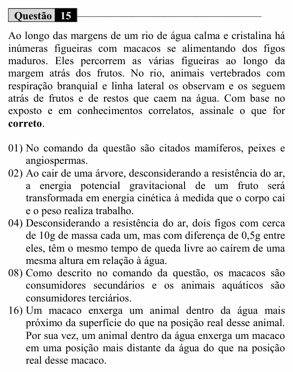 Enunciado da questão 15 de Física do UEM 2019 (Verão)