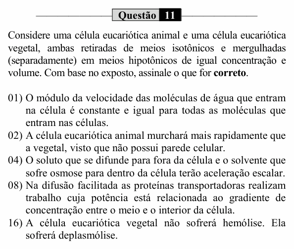 Enunciado da questão 11 de Física do UEM 2021 (PAS, etapa 1)