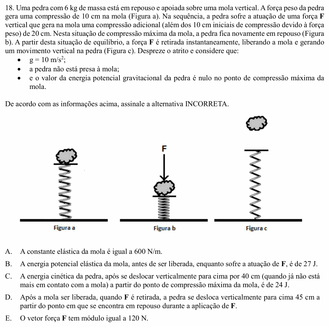 Enunciado da questão 18 de Física do UNIOESTE 2017